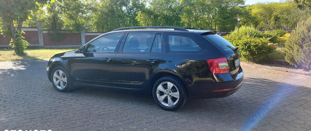 Skoda Octavia cena 44900 przebieg: 183500, rok produkcji 2018 z Sierpc małe 562